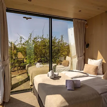 Basecamp Tiny House Eco-resort 假日公园 4*