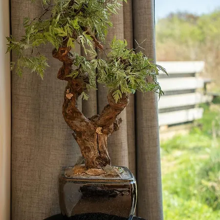 ホリデーパーク Basecamp Tiny House Eco-resort