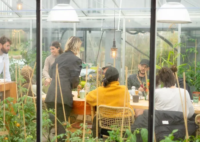 Basecamp Tiny House Eco-resort 4* IJmuiden